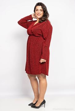 Picture of PLUS SIZE DRESS